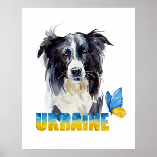 Póster Hermoso acuarela Ucrania perro y mariposa