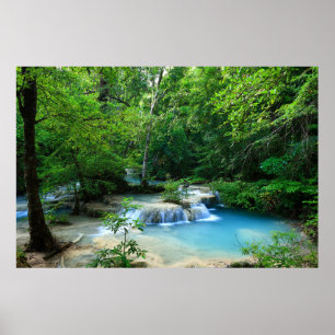 Póster Hermoso bosque