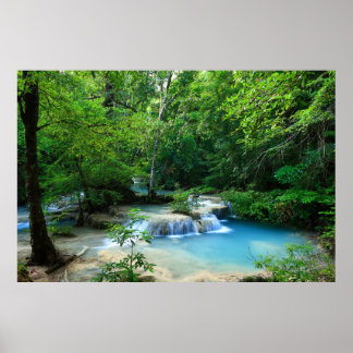 Póster Hermoso bosque