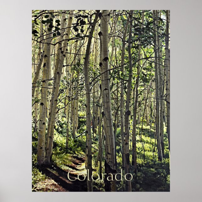 Póster Hermoso bosque de árboles ápicos en la Butte Po Cr (Frente)