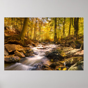 Póster Hermoso bosque otoñal