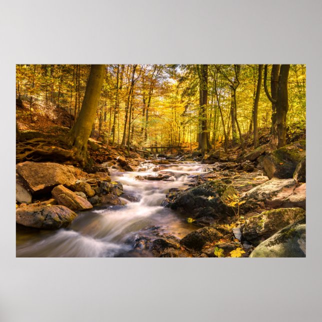 Póster Hermoso bosque otoñal (Frente)