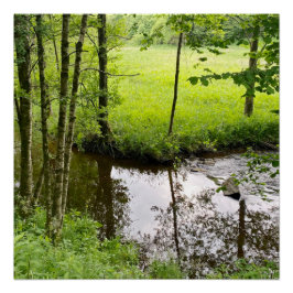 Póster Hermoso bosque y río belga, viaje