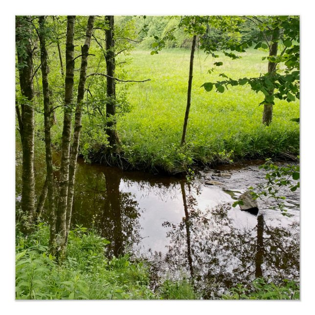 Póster Hermoso bosque y río belga, viaje (Anverso)