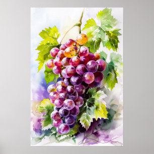 Póster Hermoso Bunch de uvas acuarela