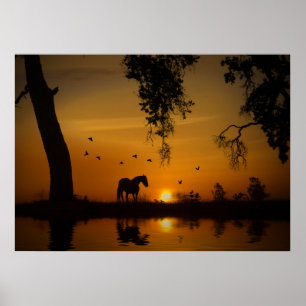 Póster Hermoso caballo en un estanque dorado con pájaros