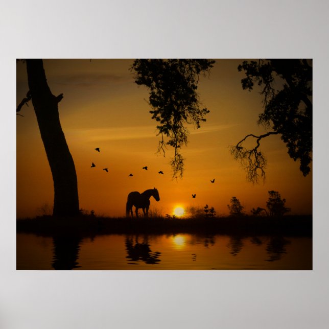 Póster Hermoso caballo en un estanque dorado con pájaros (Frente)