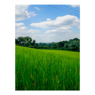 Póster Hermoso campo