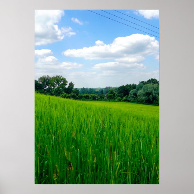Póster Hermoso campo (Frente)