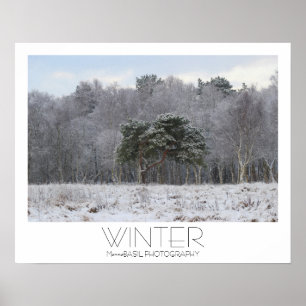 Póster ¡Hermoso cartel de invierno!