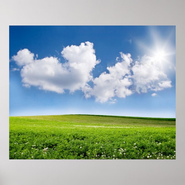 Póster Hermoso cielo azul y campo verde (Frente)
