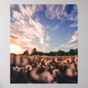 Póster hermoso cielo sobre la llanura