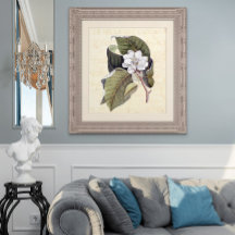 Hermoso Collage de Antigüedades Magnolia Blossom