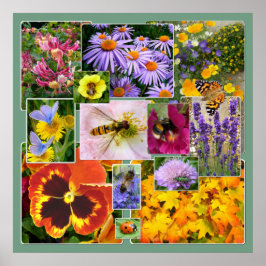 Póster Hermoso Collage de flores de verano e insectos