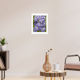 Póster Hermoso Delphinium Floral Fotográfico Púrpura