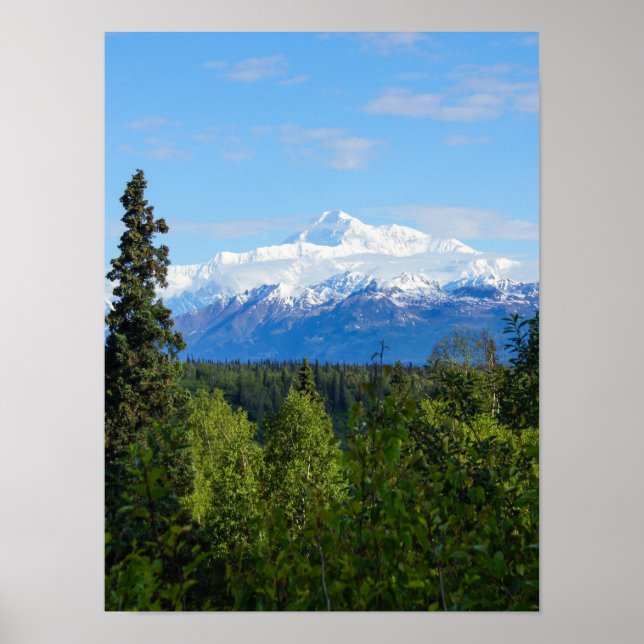Póster Hermoso Denali (Frente)