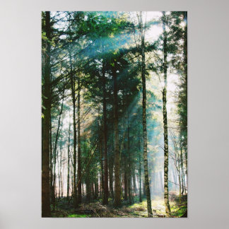 Póster Hermoso Día del Bosque de Primavera Día de la Natu