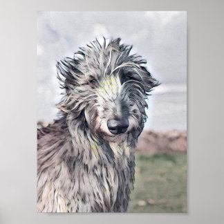 Póster Hermoso diseño escocés de Deerhound