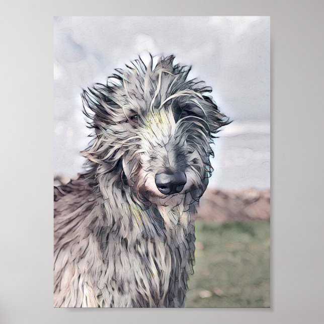 Póster Hermoso diseño escocés de Deerhound (Frente)