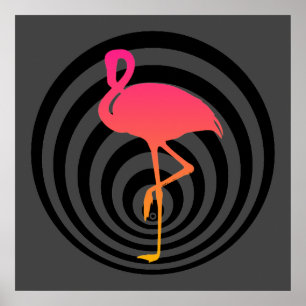 Póster Hermoso flamingo en círculos