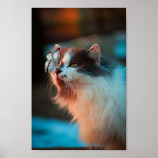 Póster Hermoso Gato Con Una Mariposa En La Nariz