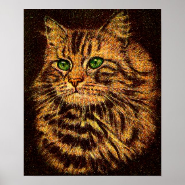 Póster hermoso gato de mantillo de pelo largo (Frente)