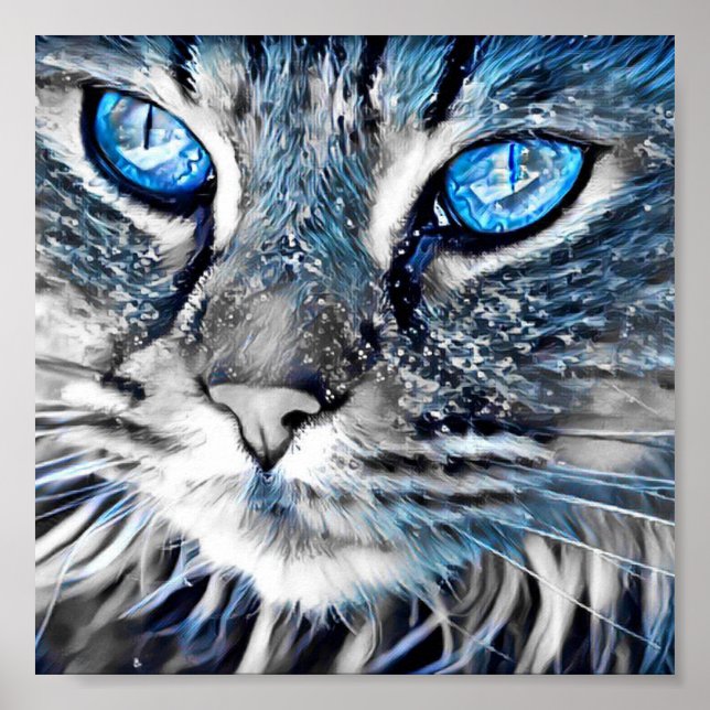 Póster Hermoso gato de ojos azules (Frente)