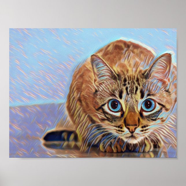 Póster Hermoso gato lindo ojos azules (Frente)