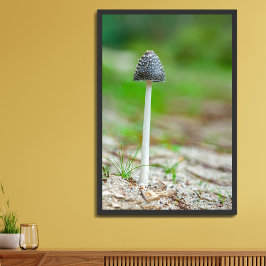 Póster Hermoso hongo silvestre en un campo de otoño