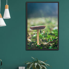Póster Hermoso hongo silvestre en un campo de otoño