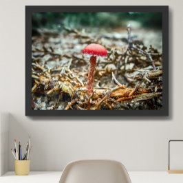 Póster Hermoso hongo silvestre en un campo de otoño