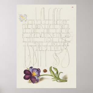 Póster Hermoso Ilustracion botánico vintage