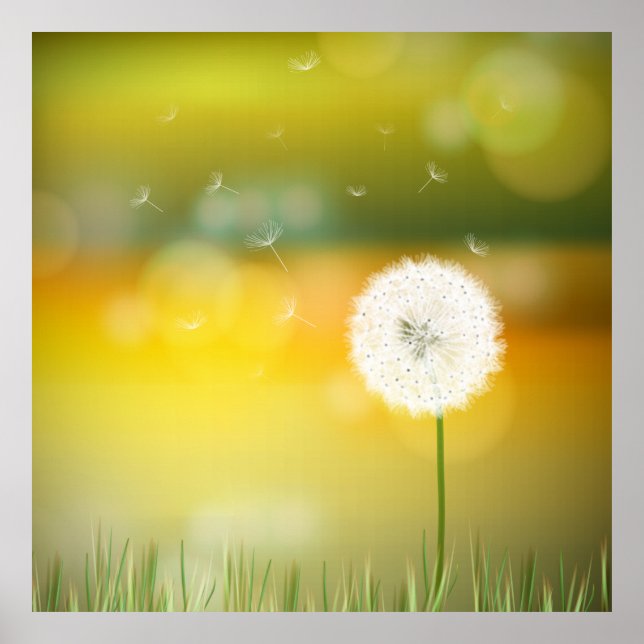 Póster Hermoso ilustracion de primavera de dandelion (Frente)