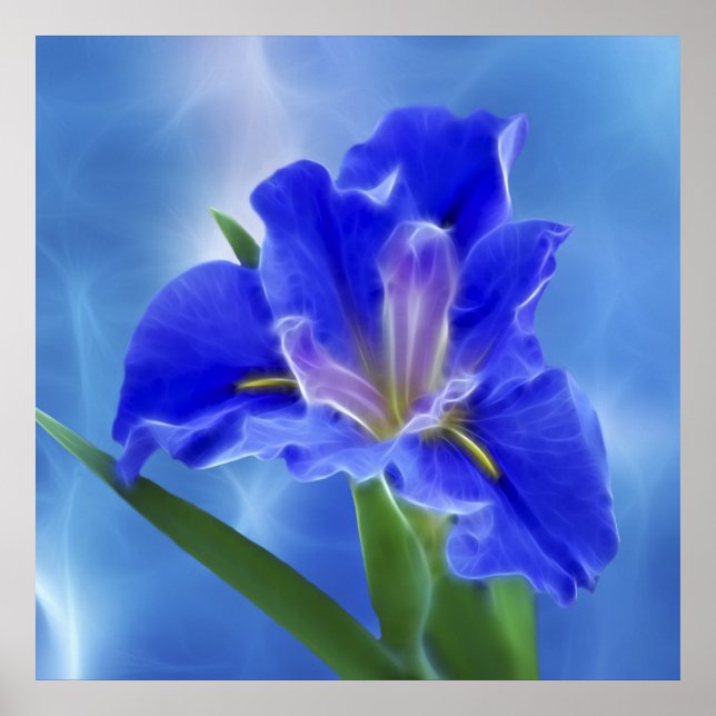 Póster Hermoso iris fractal y su significado (Frente)