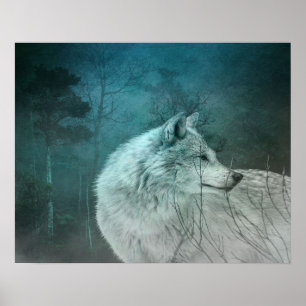 Póster Hermoso lobo gris en un bosque oscuro