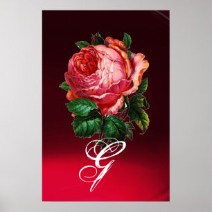 PÓSTER HERMOSO MONOGRAMA DE ROSA ROSA ROSA ROSA