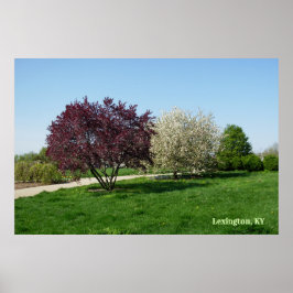Póster Hermoso paisaje con árboles