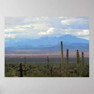 Póster Hermoso paisaje de Arizona
