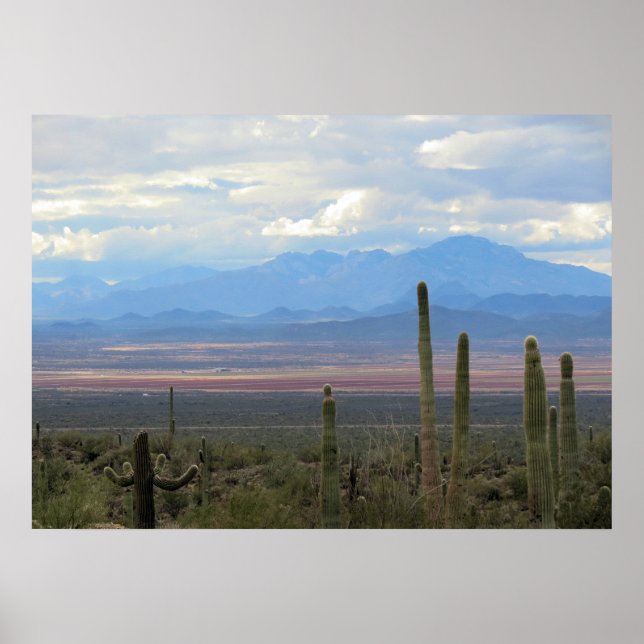Póster Hermoso paisaje de Arizona (Frente)