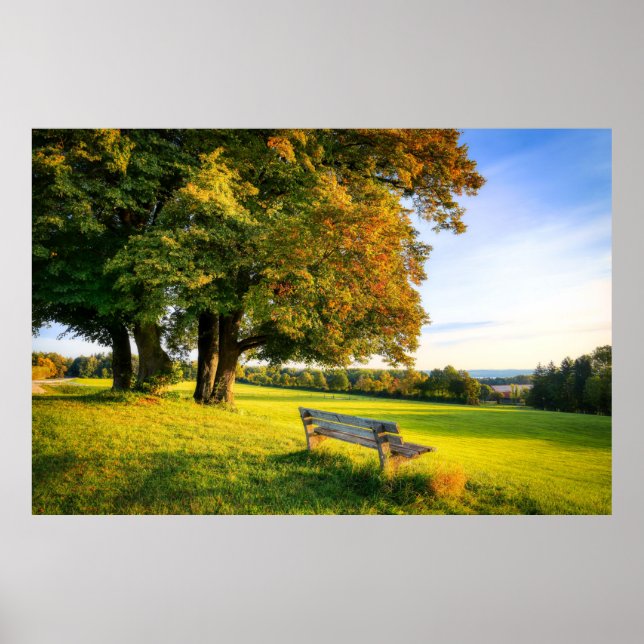 Póster Hermoso paisaje otoñal (Frente)