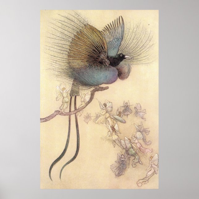 Póster Hermoso pájaro del paraíso de Warwick Goble Poster (Frente)