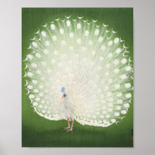 Póster Hermoso Peacock Vintage
