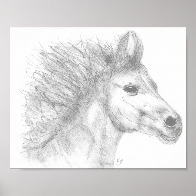 Póster Hermoso Poster de boceto de lápiz de caballo (Frente)