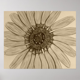 Póster Hermoso Poster de Flor esbozado a mano