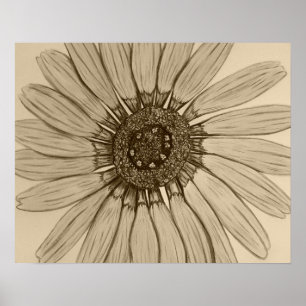 Póster Hermoso Poster de Flor esbozado a mano