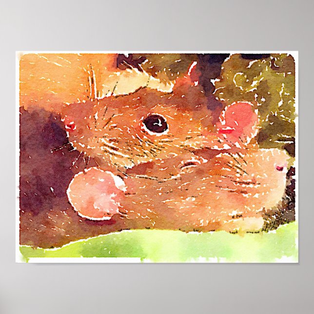 Póster Hermoso Poster de Ratas (Frente)