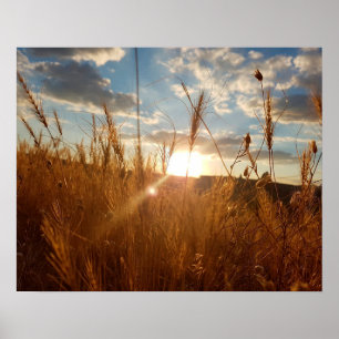 Póster Hermoso Poster de una puesta de sol sobre un llena