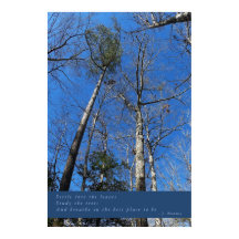 Hermoso Poster del Día de Otoño