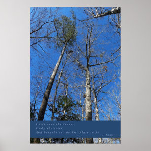 Póster Hermoso Poster del Día de Otoño