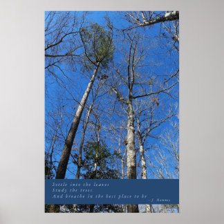 Póster Hermoso Poster del Día de Otoño